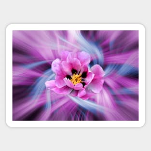 Peony Magic Sticker